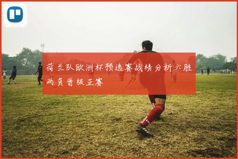 荷兰队欧洲杯预选赛战绩分析六胜两负晋级正赛
