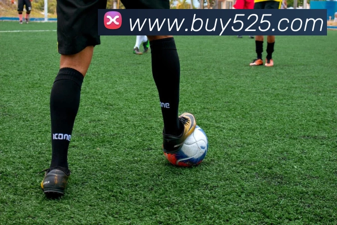 米兰app体育登录入口安全吗品牌故事