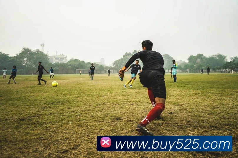 米兰app体育登录入口安全吗服务体系